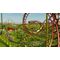RollerCoaster Tycoon 3 - Complete Edition / PlayStation 5 | Techbox