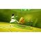 Avatar: The Last Airbender - Quest for Balance / PlayStation 4 | Techbox