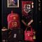 Harry Potter Gryffindor hanging banner