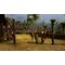 DUNGEONS & DRAGONS NEVERWINTER NIGHTS 2 - ENHANCED EDITION (Limited Run) (Import) / Nintendo Switch - Nintendo Switch Games - Games - Techbox