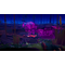 Endling - Extinction is Forever / PlayStation 4 | Techbox