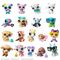 Littlest Pet Shop - Pet Pals Assorted S5 (01007) / Toys