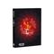 Disc Room (Special Reserve Games) (Collectors Edition) (Import) / Nintendo Switch - Nintendo Switch Games - Games - Techbox