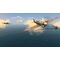 Warplanes: WW1 Sky Aces + WW2 Dogfight / Nintendo Switch | Techbox
