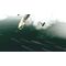 Warplanes: WW1 Sky Aces + WW2 Dogfight / Nintendo Switch | Techbox