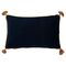 Harry Potter Potions Class velvet cushion