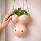 Willy Planter / Gadgets