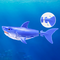 Robo Alive - Water Activated Shark - Blue / Toys