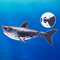 Robo Alive - Water Activated Shark - Grey / Toys