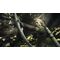 Dragon's Dogma 2 / Xbox Series X | Techbox