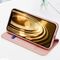 Dux Ducis Skin Pro Bookcase type case for iPhone 13 mini golden | Techbox