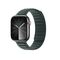 Magnetic Dux Ducis Strap BL for Apple Watch 38 / 40 / 41 mm - green - Accessories - Smartwatches & Accessories - Techbox