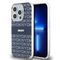 DKNY IML Mono &amp; Stripe MagSafe case for iPhone 15 Pro - blue | Techbox