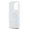 DKNY IML Mono &amp; Stripe MagSafe case for iPhone 15 Pro - blue | Techbox