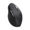 Wozinsky WMGK-1134 Ergonomic Wireless Mouse - Black | Techbox