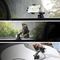 Joyroom JR-ZS241S car mount with inductive charger for dashboard - black | Techbox