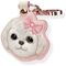 Nimmy New Big Eyed Pet 2.0 Dog Tracker Case - Pink