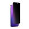 AmazingThing Radix Privacy Tempered Glass for iPhone 17 Pro Max | Techbox