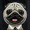 Nimmy Big Eyed Pet 2.0 Dog Case for iPhone 17 - Black | Techbox