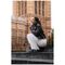 Uniq Airsuit Magclick Charging Case for iPhone 17 Pro - Transparent | Techbox