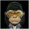 Nimmy Cool&amp;Cute 2.0 Gorilla Case for iPhone 17 Pro - Black - Apple Cases - Cases - Techbox
