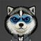 Nimmy Cool&amp;Cute 2.0 Wolf Case for iPhone 17 - Black - Uncategorized Cases (2) - Cases - Techbox