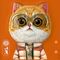 Nimmy Cool&amp;Cute 2.0 Cat Case for iPhone 17 Pro Max - Orange | Techbox