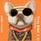 Nimmy Glasses Cool Dog iPhone 17 Pro Case - Orange | Techbox