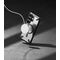Ringke Fusion X Magnetic MagSafe Case for Samsung Galaxy S26 Ultra - Clear Black