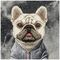 Nimmy Gentle Pets Series Dog MagSafe case for iPhone 17 Pro - black