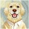 Nimmy Gentle Pets Series Dog MagSafe case for iPhone 17 Pro - brown