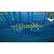 40 Sports Games in 1 / Nintendo Switch | Techbox