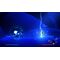 Wordless (Limited Run) (Import) / Nintendo Switch - Nintendo Switch Games - Games - Techbox