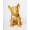 Blogo - Figure - Bulldog Ruggiero - Gold - Medium / Gadgets
