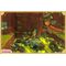 Bayala (Code In A Box) / Nintendo Switch - Nintendo Switch Games - Games - Techbox