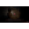 Fatal Frame II: Crimson Butterfly REMAKE / PlayStation 5 | Techbox