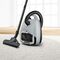 Bosch Serie 6 BGB6X330 vacuum 4 L Cylinder vacuum Dry 600 W Dust bag | Techbox