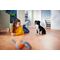Philips PowerPro Expert FC9745/09 vacuum 2 L Cylinder vacuum Dry 900 W Bagless | Techbox