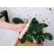 Concept ZK6010 Sonic toothbrush for children 5-9 years Pink