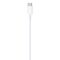 Apple USB-C to Lightning Cable (2m) | Techbox