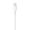 Apple Lightning to USB Cable (1В m) | Techbox