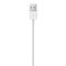 Apple Lightning to USB Cable (1В m) | Techbox