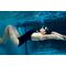 SHOKZ OpenSwim Pro Headset Wireless Open-ear Sports Bluetooth Grey - Bluetooth - Headsets - Techbox