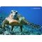 Esperanza EA133 mouse pad Multicolor - MousePads - Keyboards & Mice - Techbox