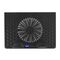 Esperanza EGC101 notebook cooling pad 800 RPM Black - Cooling Pads - Laptop Accessories - Techbox