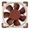 Noctua NF-A4x10 5V Computer case Fan 4 cm Beige, Brown | Techbox