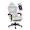 HUZARO FORCE 4.7 RGB White GAMING CHAIR | Techbox