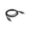 Lanberg CA-DPDP-10CC-0018-BK DisplayPort cable 1.8 m Black | Techbox