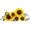 LEGO BOTANICALS 11502 Sunflower Bouquet - Lego - Collectibles - Techbox