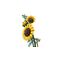 LEGO BOTANICALS 11502 Sunflower Bouquet - Lego - Collectibles - Techbox
